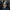 collections/Cardio_Endurance1.jpg