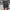 Men Gym Shorts